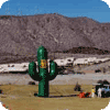 Saguaro cactus inflatables - 25ft. tall for sale or rent.